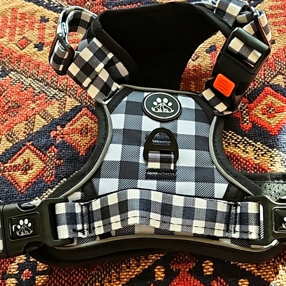 B&W check harness